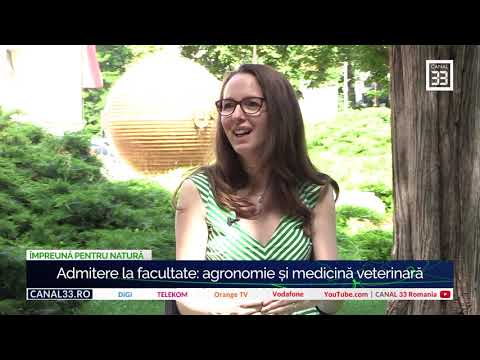 Video: Al Patrulea și Ultimul An De Formare Veterinară