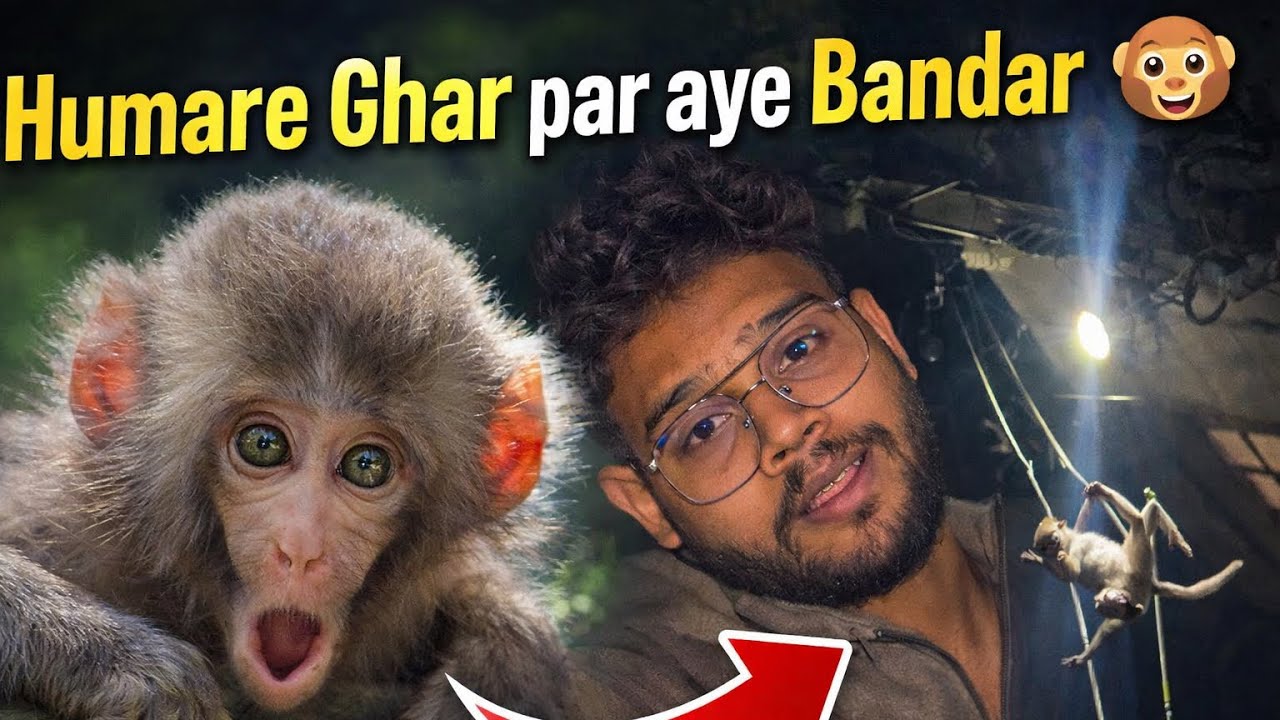 Humare Ghar par aye Bandar 🐵 