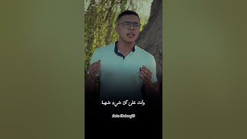 انسي العالم كله أمام جمال آيات القرآن الكريم مع القارئ عبدالرازق الشهاوي 🥹❤️