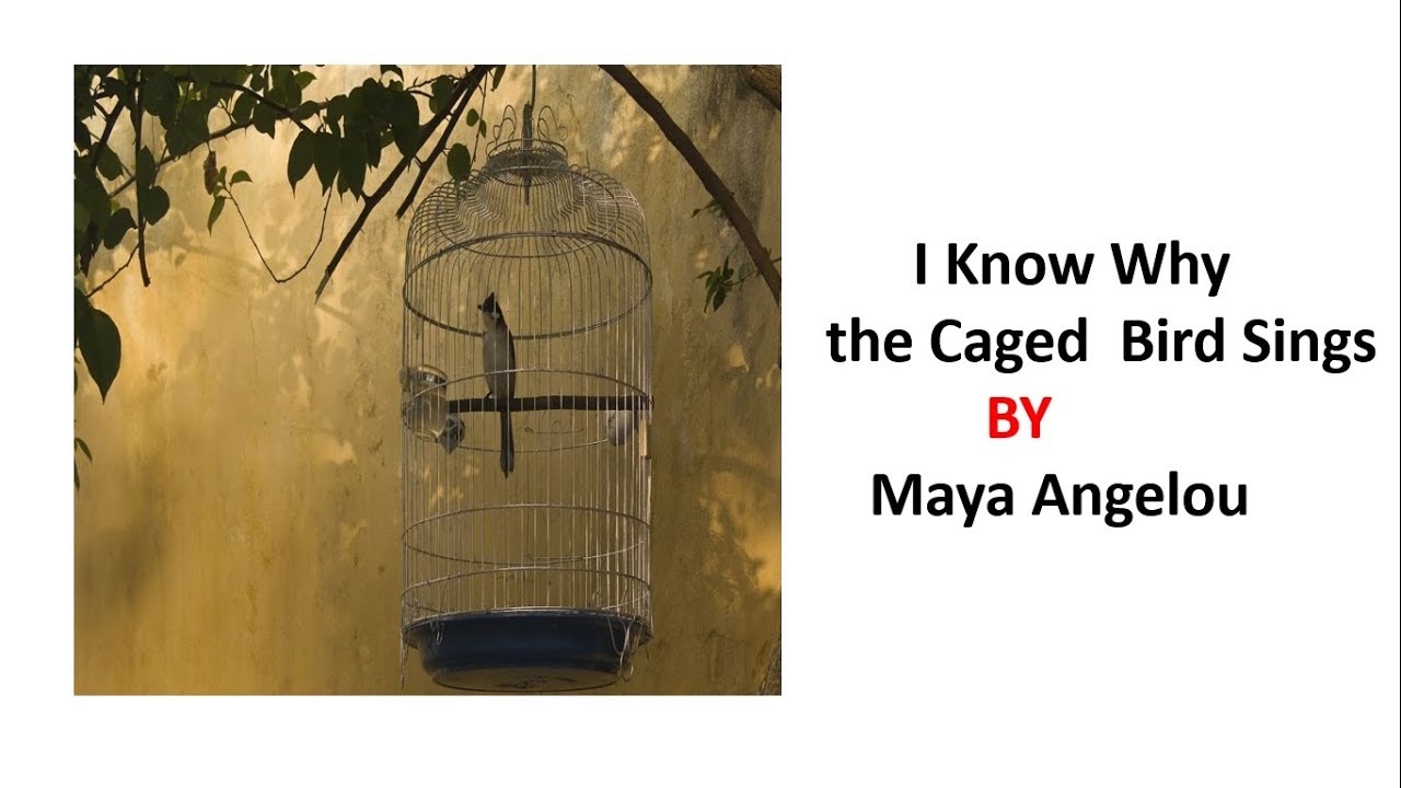 Keep me from the cages. I know why the Caged Bird Sings. I know why the Caged Bird Sings by Maya Angelou. I know why the Caged Bird Sings by Maya Angelou poem. The Bird in the Cage ответы.