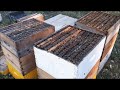 Manejo de doble camara de cria y 3 alzas de miel sin rejilla excluidora en la Apicultura Argentina