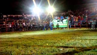 Lobo viejo rancho monte verde