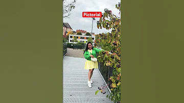 Pictorial Time Oldies Shortsvideo 