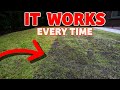 The secret to a thick lawn starts here  beginner lawn care tricks