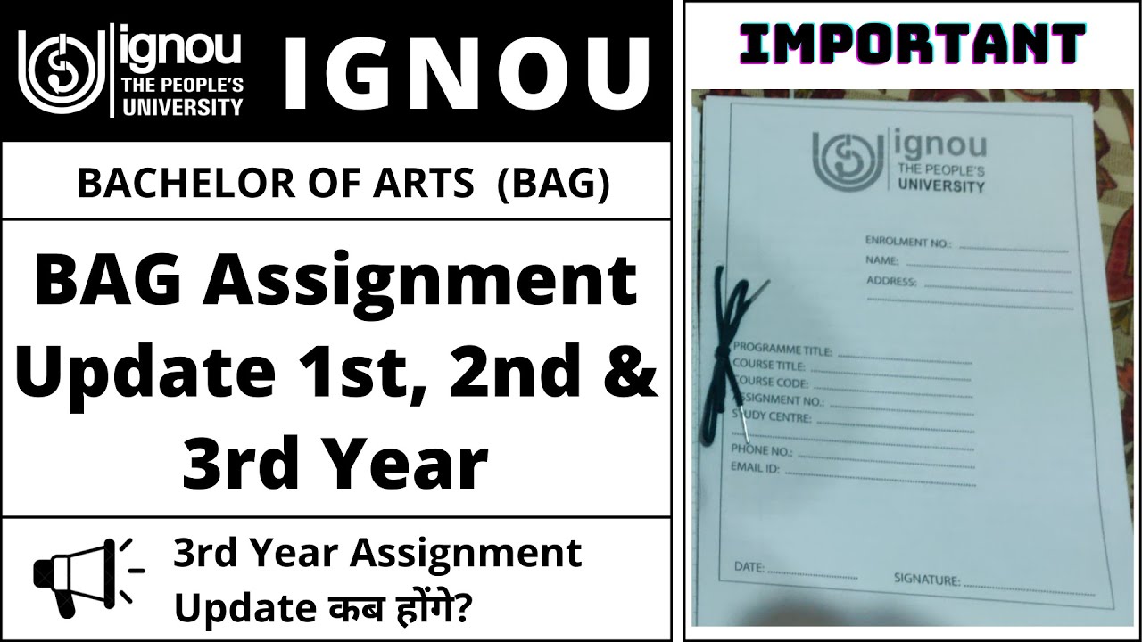 bag 3rd year assignment ignou