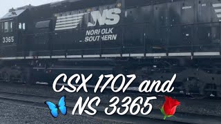 CSX 1707 & NS 3365 trains in Paulsboro, New Jersey.