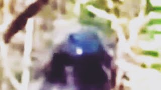 Aspect