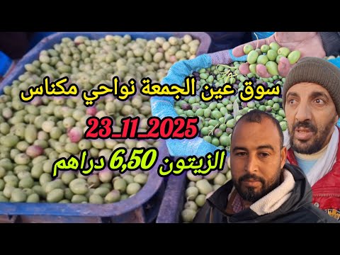 من رحبة الزيتون بالسوق الأسبوعي لعين الجمعة بتاريخ 23 11 2025 الخير موجود والثمن مناسب