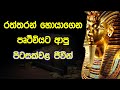 අතීතේ මිනිසුන් නිධාන වැළලුවේ පිටසක්වළ ජීවීන්ට දෙන්නද? (සාක්ෂි සහිතයි) | Aliens & Treasures | Sinhala