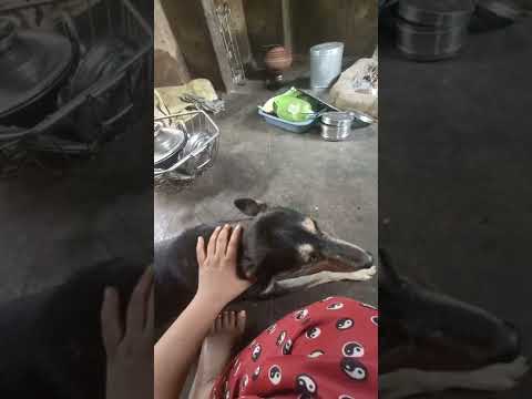 She Mona Wants More Love 