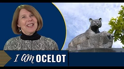 I am Ocelot: Linda Makris, CPA, CGMA, CFO, Gleaners