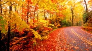 Nat King Cole Autumn Leaves