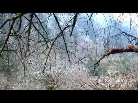 Earthquake in Langtang valley, Nepal