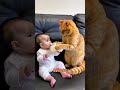 funny cat videos 💥🤪 #cat #catcomedy #catvideos #foryou #funny #againmeowhaha #crazycats #foryou