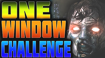 Custom Zombies Insane One Window Challenge Cod Waw