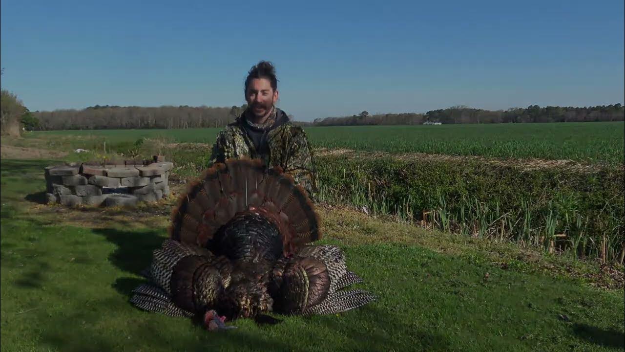 2023 Delaware turkey hunting YouTube