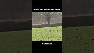 Impossible Is Just A Word Until You Prove It Wrong