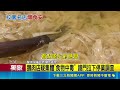 三立獨家│政大人氣鵝肉傳食安! 疑13人食物中毒送醫 外帶鵝肉飯"上吐下瀉" 院方急通報"共13案" 剛噴藥清消公休10天 店家歉:會負責後續賠償｜三立新聞LIVE