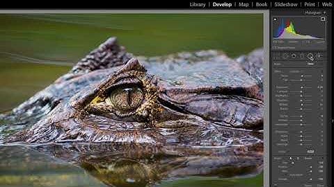 Making Local Adjustments in Adobe Lightroom