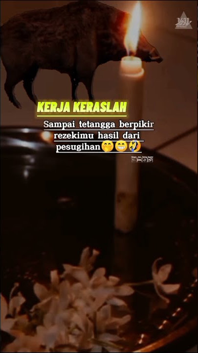 story wa BABI NGEPET #virall #tiktok #quotes #babingepet #storywa
