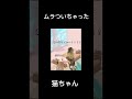 ムラついちゃった #猫ミーム#catmemes