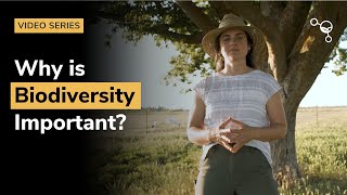 Why is Biodiversity Important?