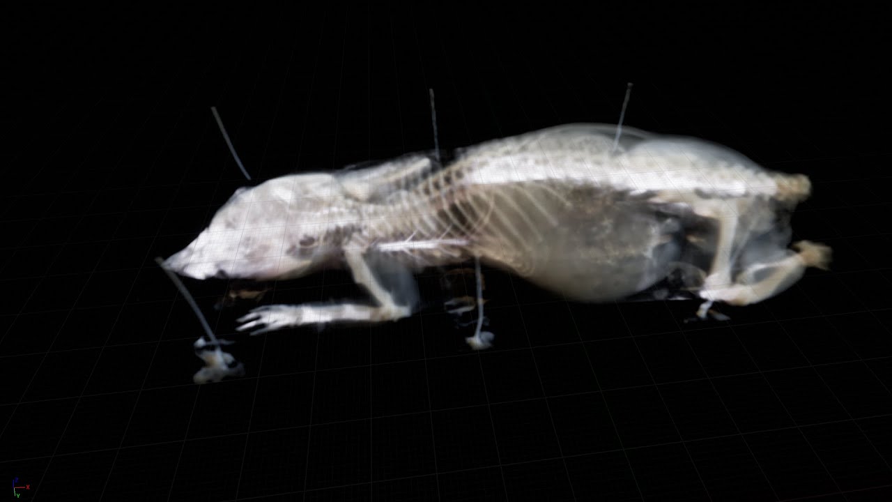 Fun with ray marching YouTube