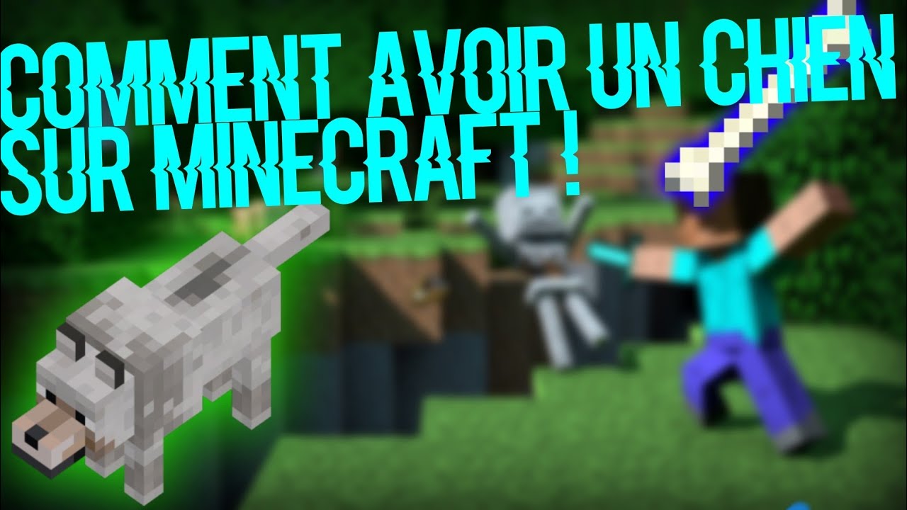 [TUTo]《Comment avoir un chien sur minecraft 》#2 - YouTube