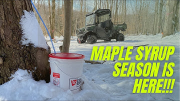 #32 Maple Syrup Season is here! Part 1