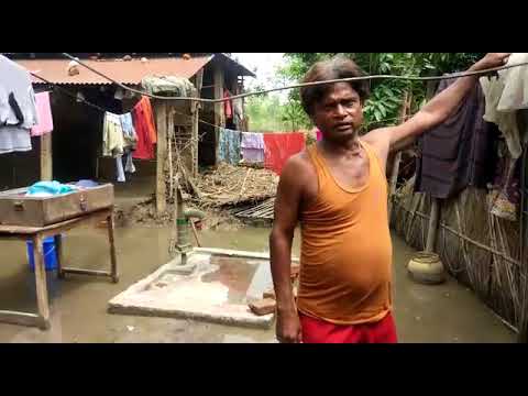 Video: Hvordan Redde En Oversvømmet Saintpaulia