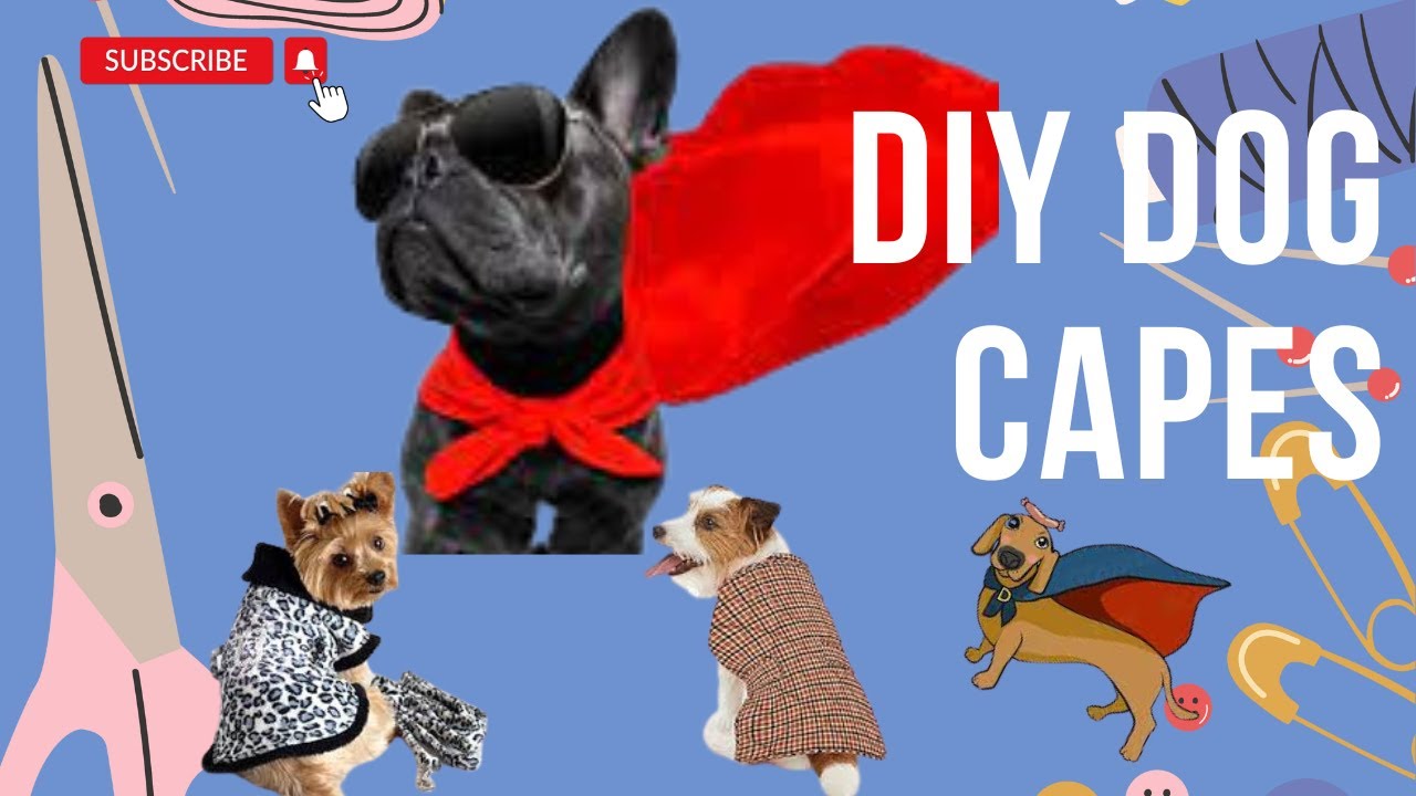 DIY DOG CAPE How To Cut And Sew A Dog Cape YouTube DIY DOG CAPE How To Cut And Sew A Dog Cape YouTube