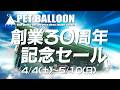 30周年セールCM | アクアリウム 熱帯魚