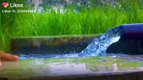 Jaat in tube well tank