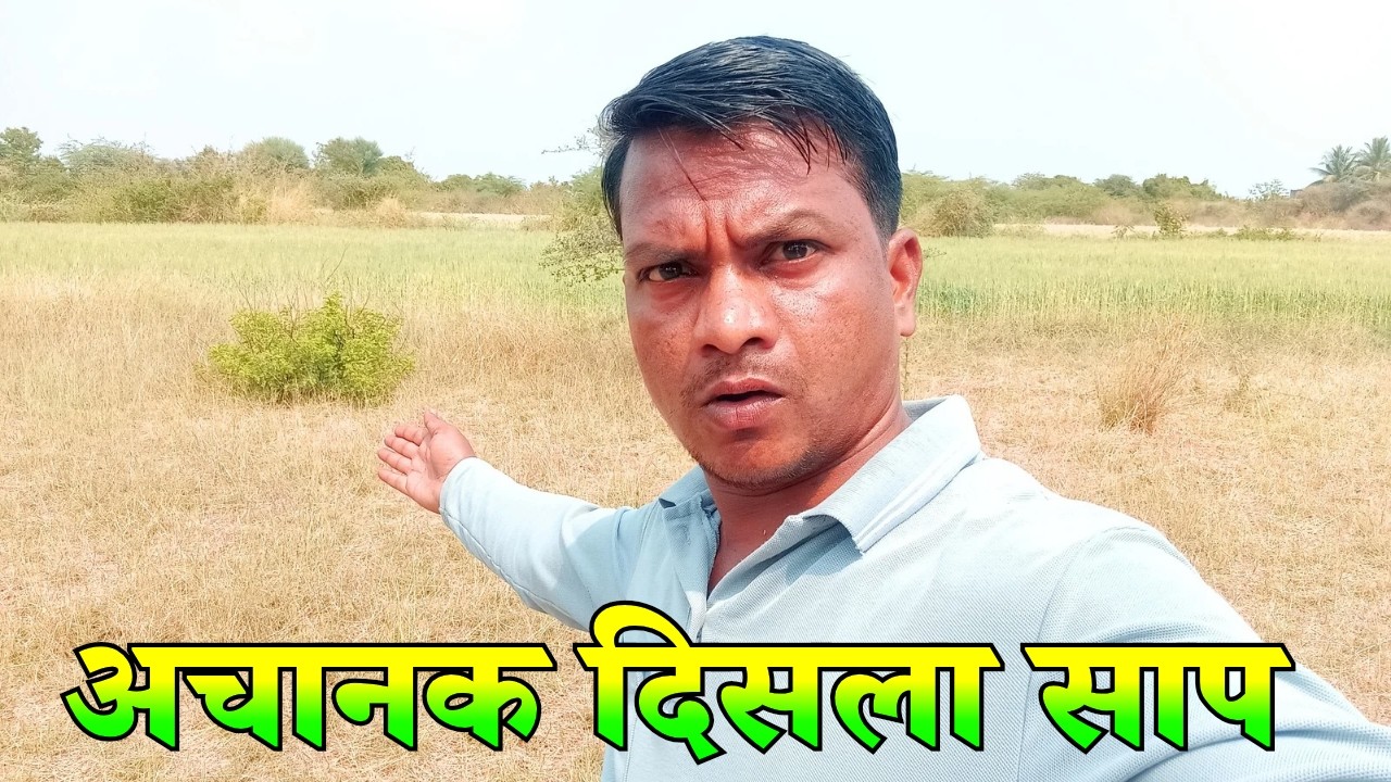 अचानक दिसला साप 🐍😲 | Marathi Vlog