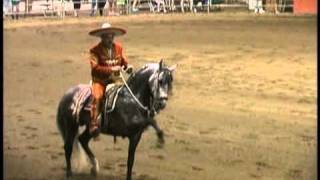 Horses In Motion.wmv