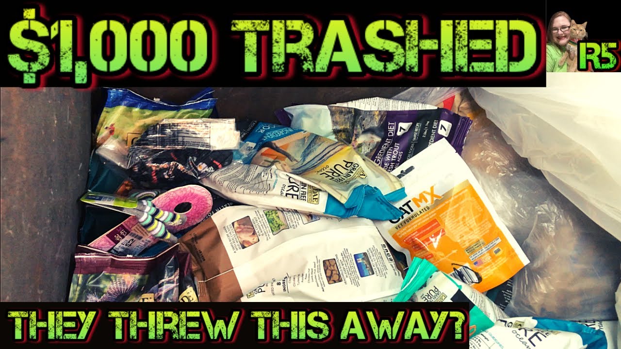 Dumpster Diving To Save The Landfills, $1,000 For Free!