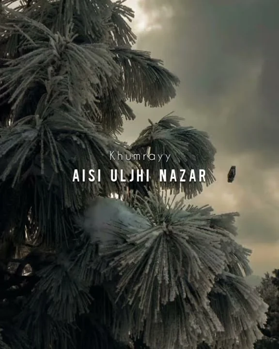 Aisi Uljhi Nazar | Mubeen butt | Aesthetics