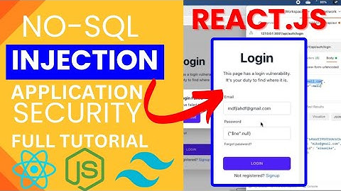 Exploring Web Application Security: Understanding No-SQL Injection Attacks