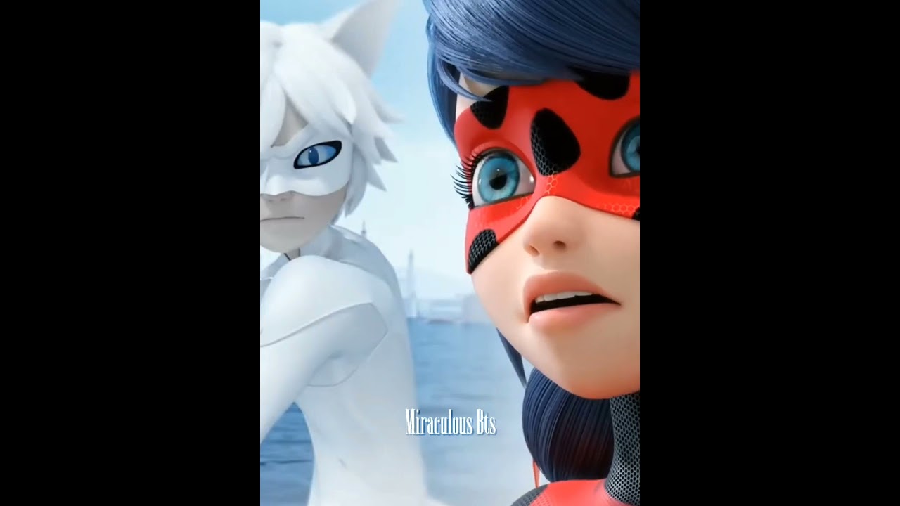 Never, Ever !✨ |Cat blanc 