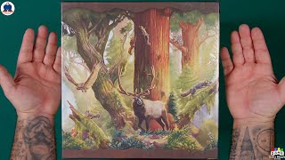 UNBOXING - REDWOOD BIG BOX (Kickstarter Edition) - Board Games - #indabox