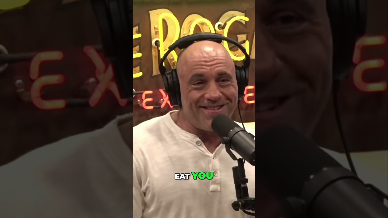 Surviving Bear Encounters  How to Outsmart Mama Bears