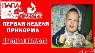 Прикорм ЦВЕТНАЯ КАПУСТА / Начало первого прикорма // ПРИКОРМ шаг за шагом