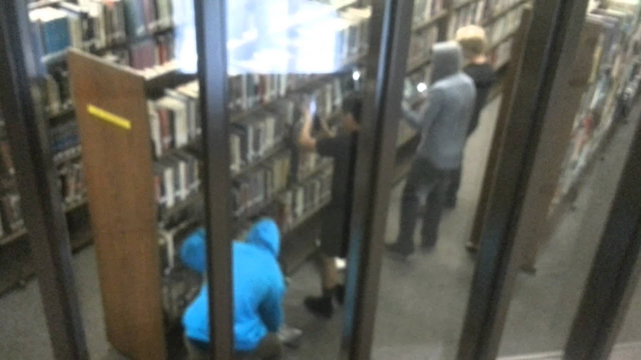 Craigs watergate scandal library