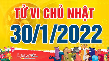 Xem tử vi hàng ngày - Tử vi Chủ Nhật ngày 30 tháng 1 năm 2022 của 12 con giáp AI TÀI LỘC VƯỢNG PHÁT
