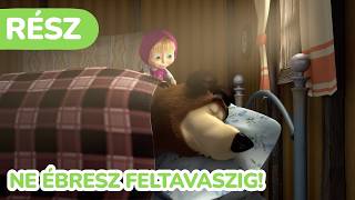Masha és a Medve 🐻 Ne ébresz feltavaszig! 🛌 (Rész 2)