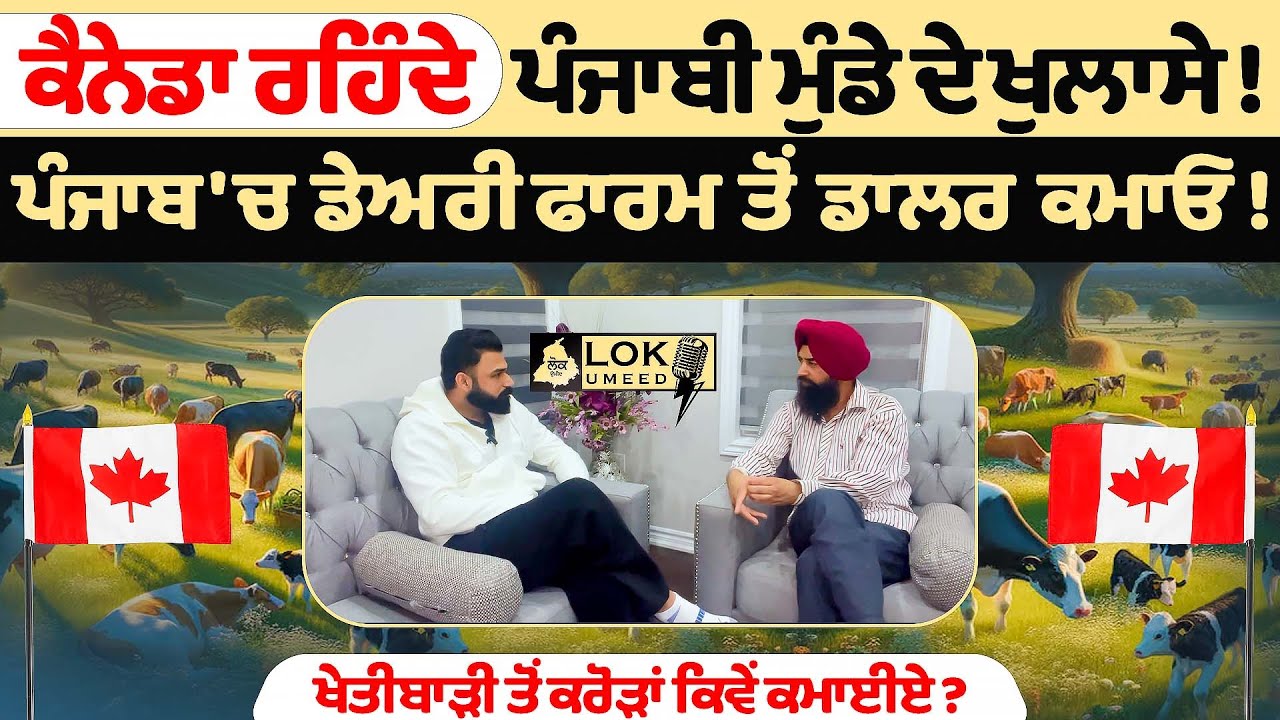 punjab 'ਚ Dairy Farm ਤੋਂ  dollar ਕਮਾਓ  ! Canada ਰਹਿੰਦੇ ਪੰਜਾਬੀ ਮੁੰਡੇ ਦੇ ਖੁਲਾਸੇ ! Lok Umeed