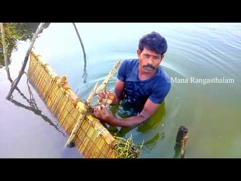 చేపలు పట్టే విధం ఎట్టిదనిన | Best Fishing In Villages | Telugu Culture |