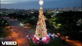 Damai di bumi sukacita disorga