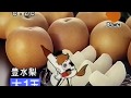ダイエー 日曜一の市 CM 1994 09 ダイエー 日曜一の市 CM 1994 09