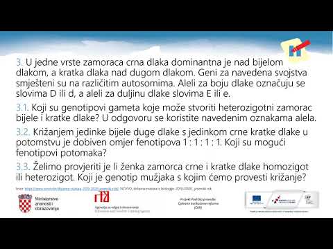 Video: Koji je genotip dihibridnog križanja?